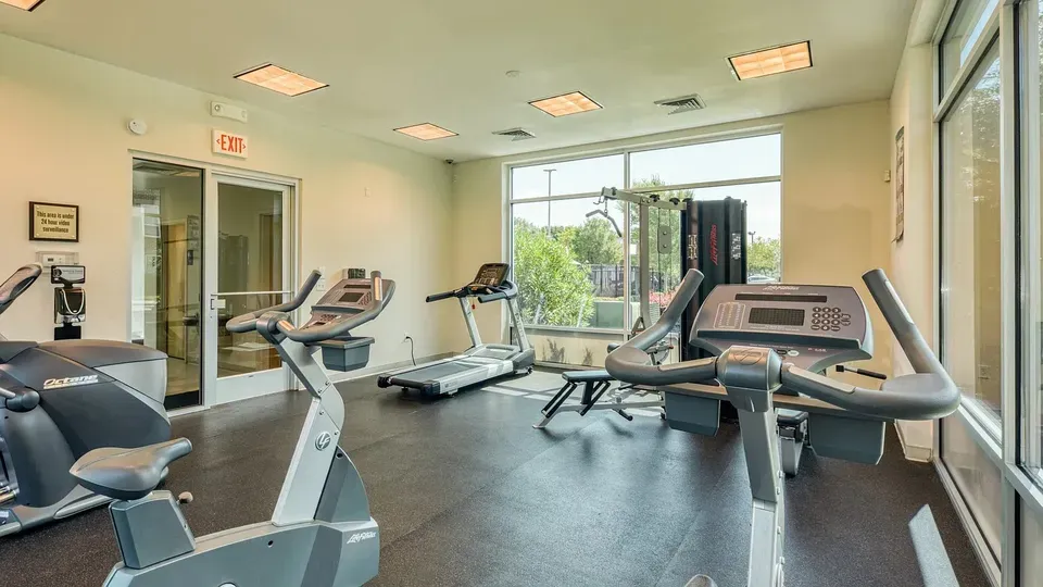3 Bed 2 Bath Contemporary High-Rise Condo in Norfolk, VA - 5
