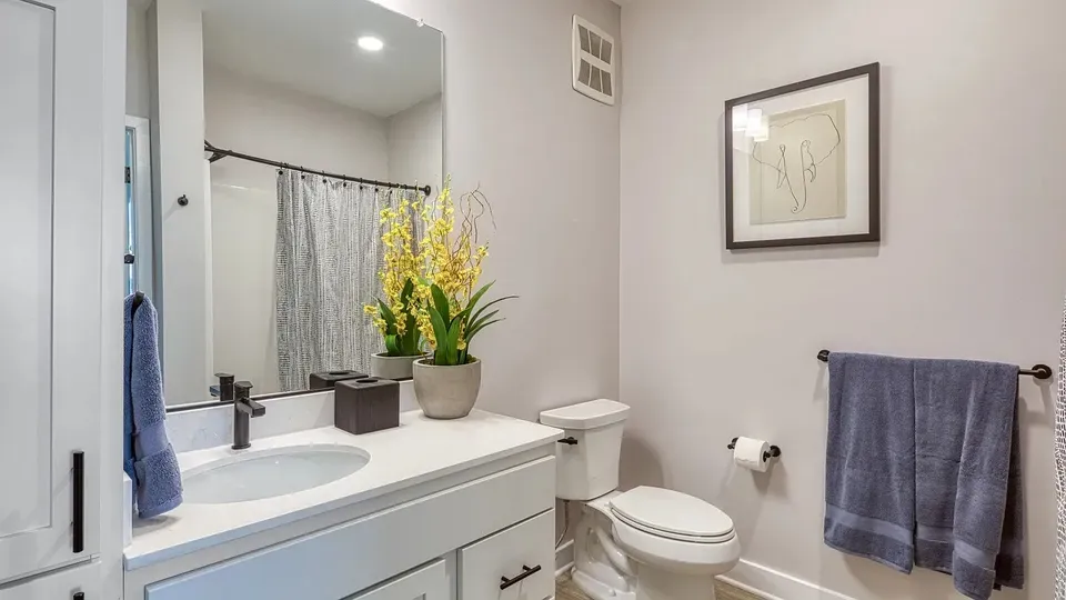 3 Bed 2 Bath Contemporary High-Rise Condo in Norfolk, VA - 2