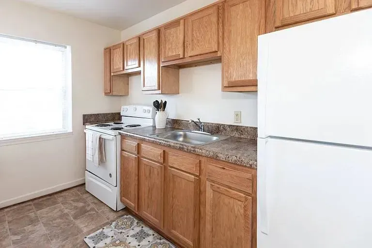 3 Bed 2 Bath Contemporary High-Rise Condo in Norfolk, VA - 5