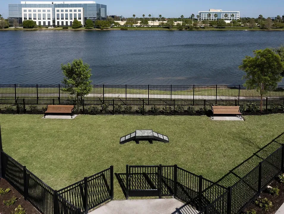 3 Bed 2 Bath Contemporary High-Rise Condo in Orlando, FL - 4