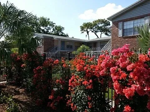 3 Bed 2 Bath Contemporary High-Rise Condo in Tampa, FL - 3