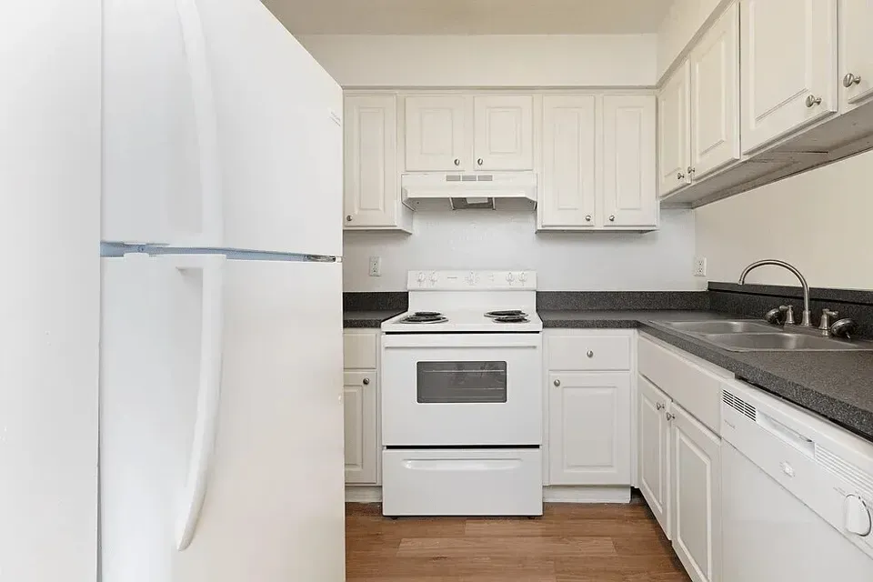 3 Bed 2 Bath Contemporary High-Rise Condo in Tampa, FL - 1