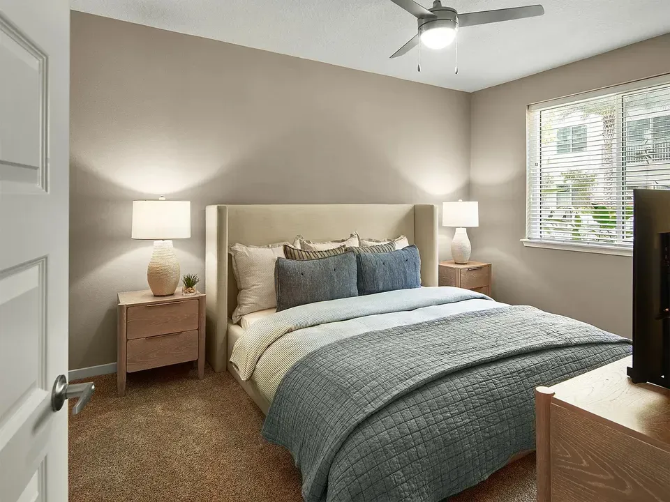 3 Bed 2 Bath Contemporary High-Rise Condo in Tampa, FL - 4