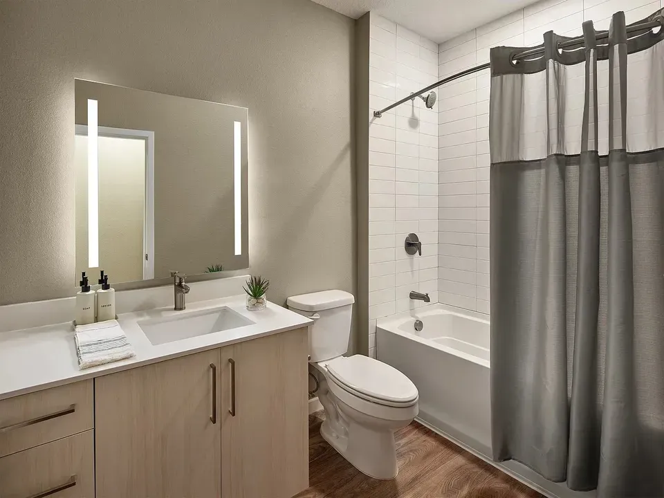 3 Bed 2 Bath Contemporary High-Rise Condo in Tampa, FL - 5
