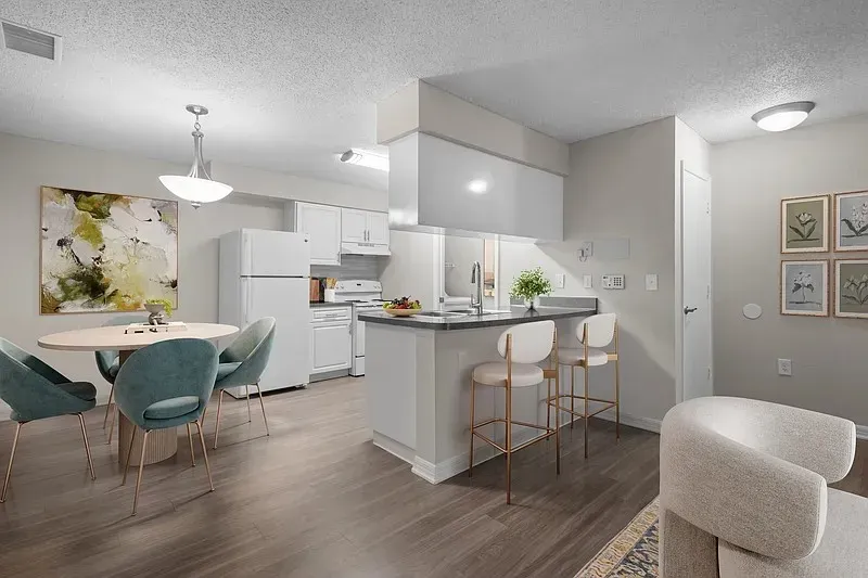 3 Bed 2 Bath Contemporary High-Rise Condo in Tampa, FL - 5