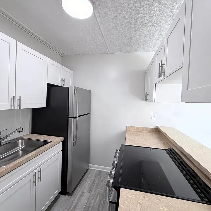 3 Bed 2 Bath Contemporary High-Rise Condo in Tampa, FL - 2