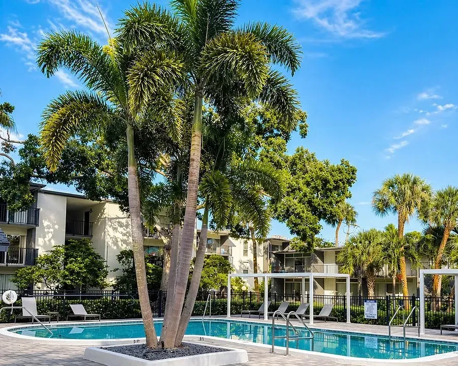 3 Bed 2 Bath Contemporary High-Rise Condo in Tampa, FL - 3