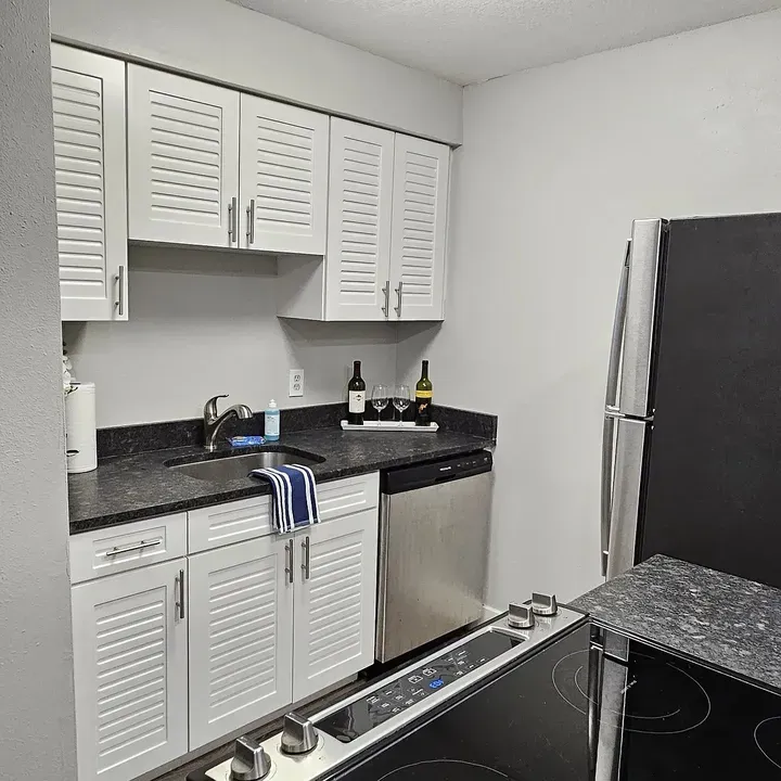 3 Bed 2 Bath Contemporary High-Rise Condo in Tampa, FL - 4