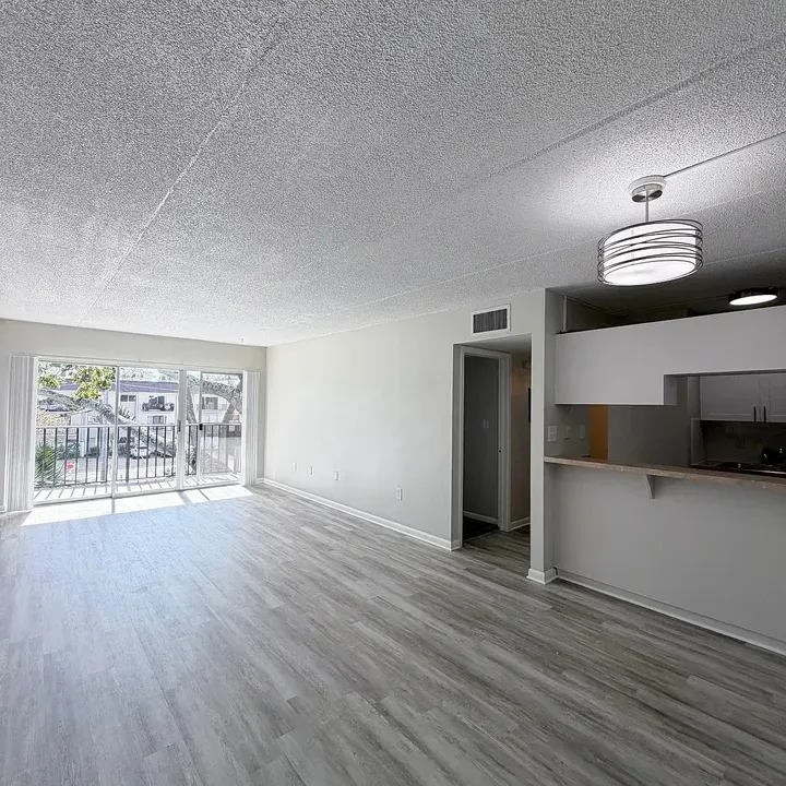 3 Bed 2 Bath Contemporary High-Rise Condo in Tampa, FL - 5