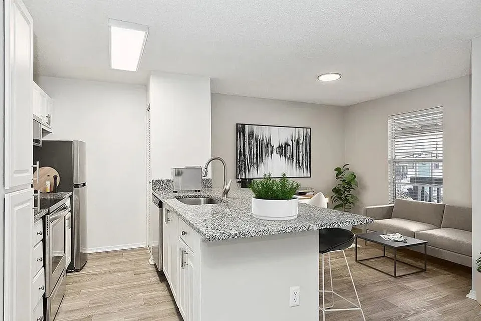 3 Bed 2 Bath Contemporary High-Rise Condo in Tampa, FL - 5