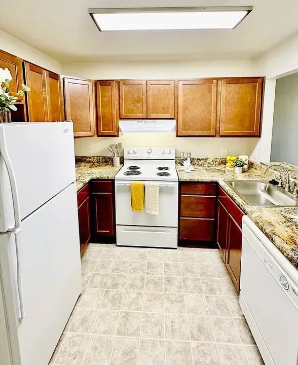 3 Bed 2 Bath Contemporary High-Rise Condo in Virginia Beach, VA - 5