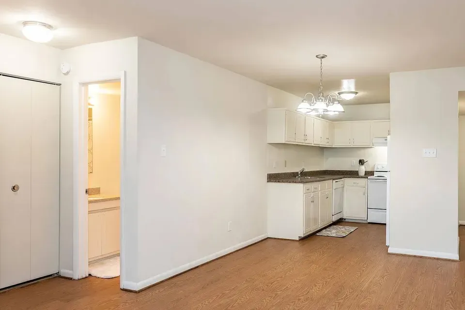 3 Bed 2 Bath Contemporary High-Rise Condo in Virginia Beach, VA - 4