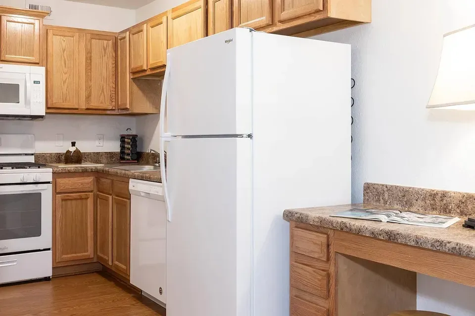 3 Bed 2 Bath Contemporary High-Rise Condo in Virginia Beach, VA - 4