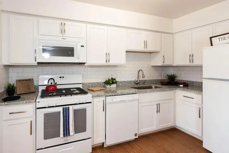 3 Bed 2 Bath Contemporary High-Rise Condo in Virginia Beach, VA - 2