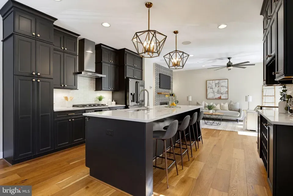 3 Bed 2 Bath Contemporary Multi-Level Townhome in Baltimore, MD - 2