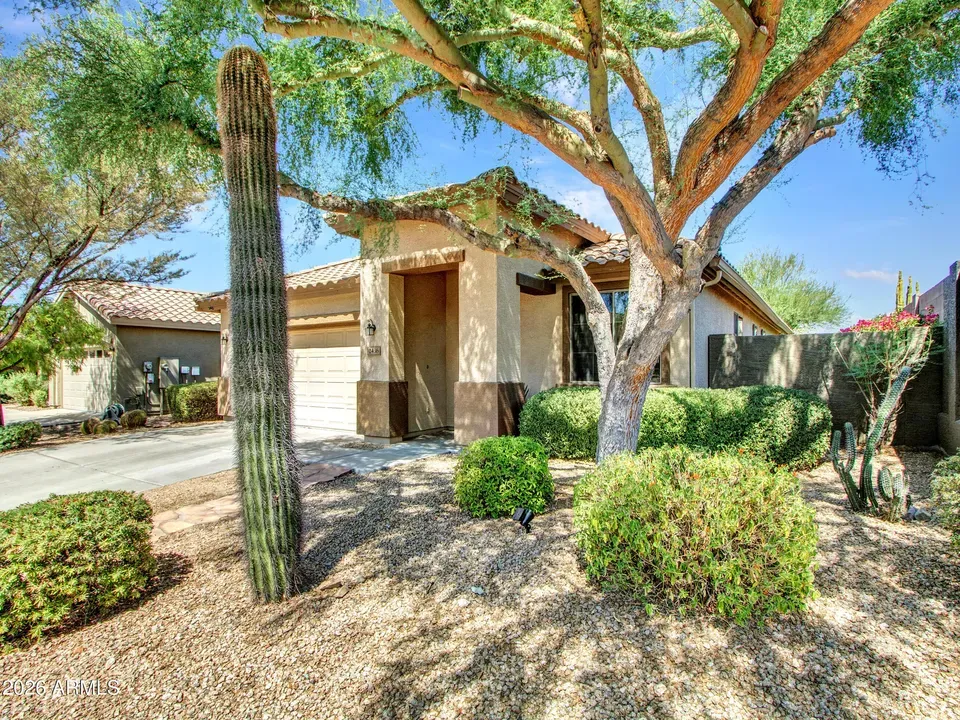 3 Bed 2 Bath Established Contemporary Home in Phoenix, AZ - 1