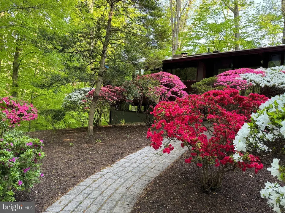 3 Bed 2 Bath Established Mid-Century Residence in Annapolis, MD - 3