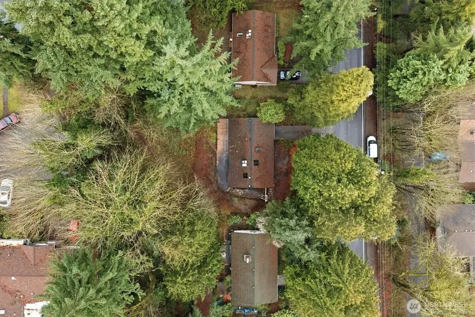 3 Bed 2 Bath Established Mid-Century Residence in Bellevue, WA - 5
