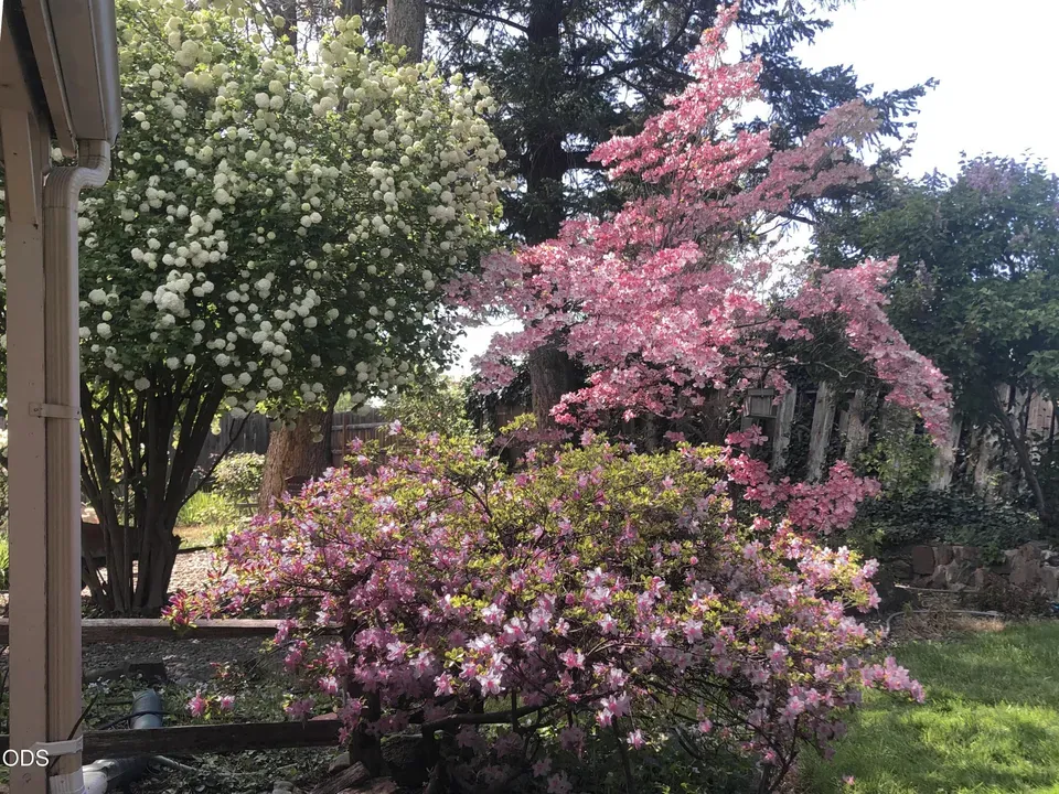 3 Bed 2 Bath Established Mid-Century Residence in Medford, OR - 3