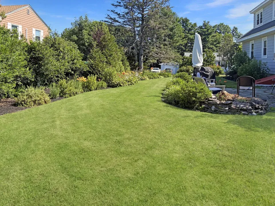 3 Bed 2 Bath Established Mid-Century Residence in Portland, ME - 5