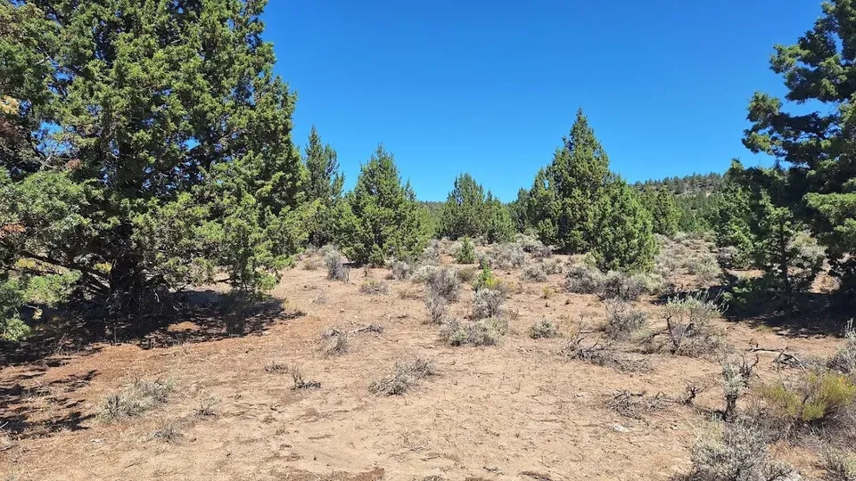 3 Bed 2 Bath Modern Contemporary Residence in Bend, OR