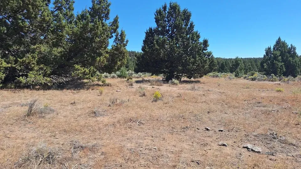 3 Bed 2 Bath Modern Contemporary Residence in Bend, OR - 4