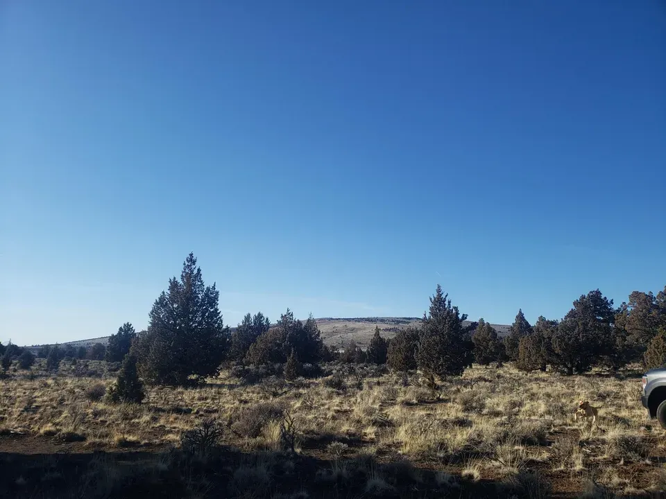 3 Bed 2 Bath Modern Contemporary Residence in Bend, OR - 5