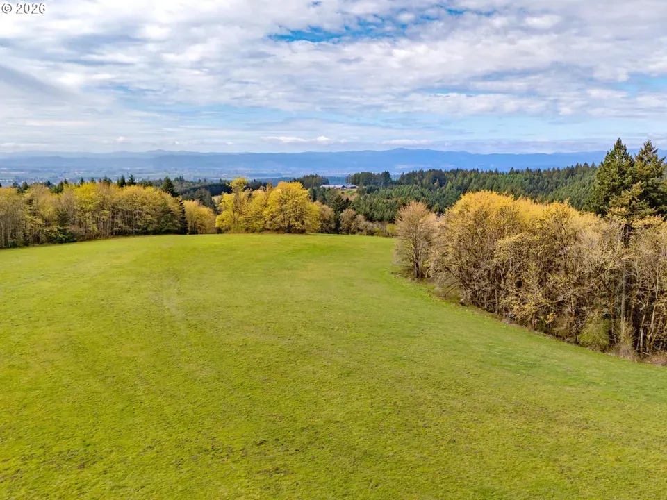 3 Bed 2 Bath Modern Contemporary Residence in Hillsboro, OR - 1