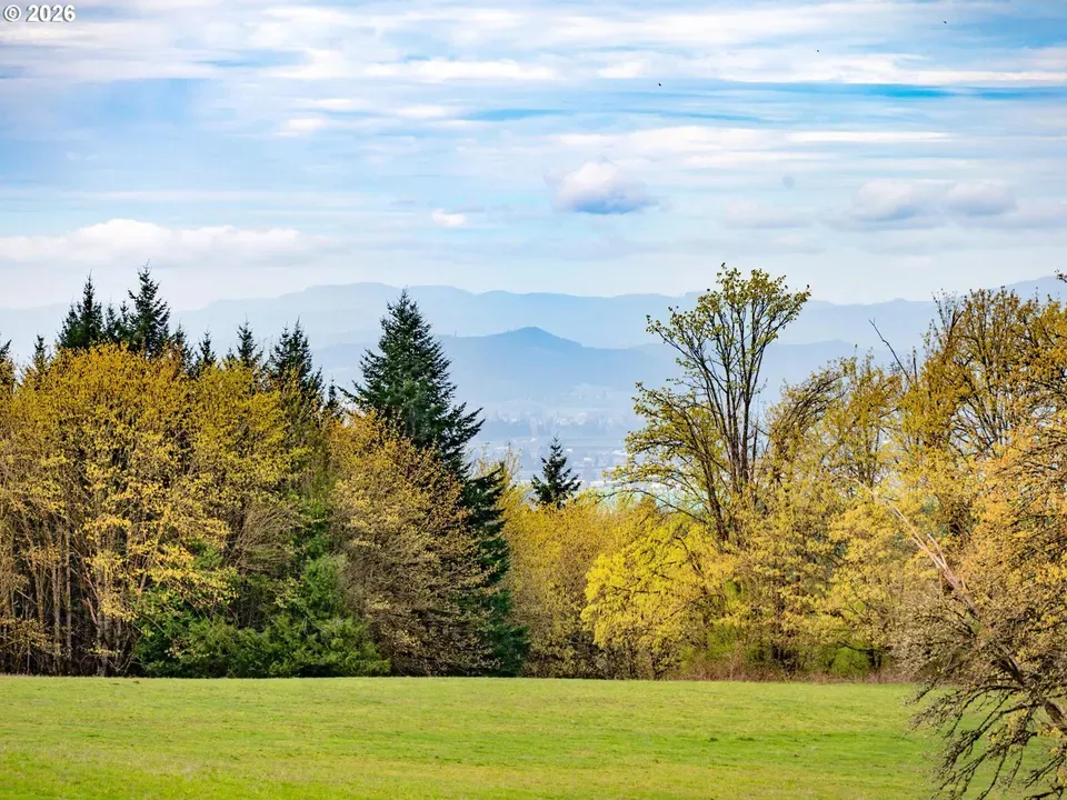 3 Bed 2 Bath Modern Contemporary Residence in Hillsboro, OR - 3