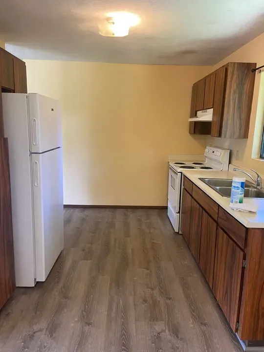 3 Bed 2 Bath Modern Contemporary Residence in Hilo, HI - 4