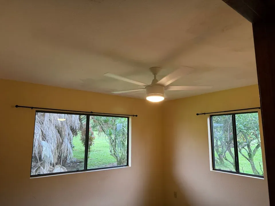3 Bed 2 Bath Modern Contemporary Residence in Hilo, HI - 5