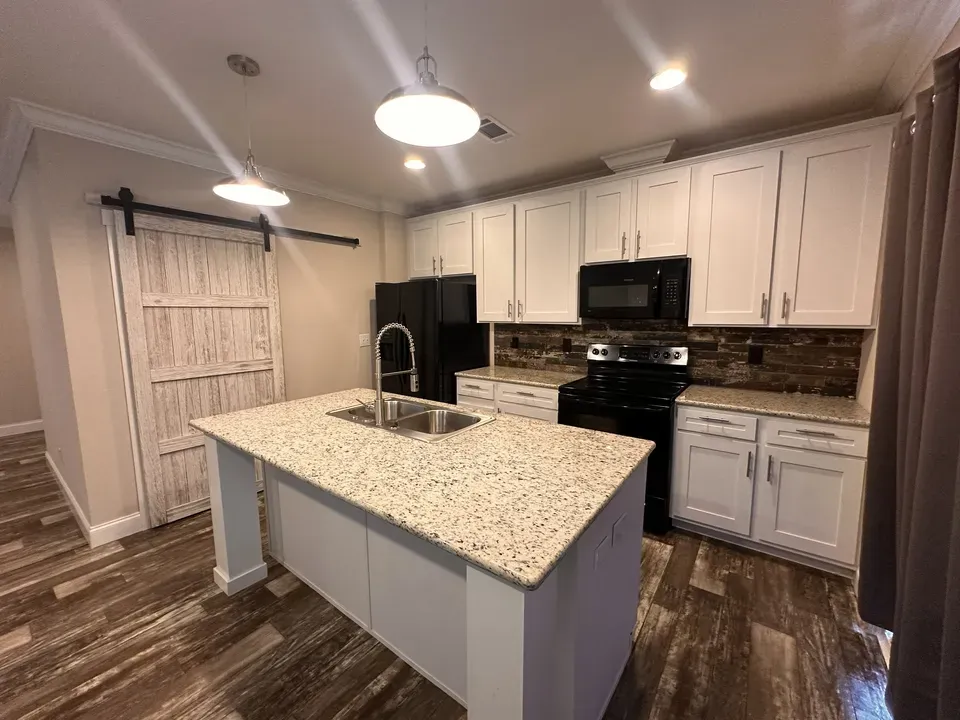 3 Bed 2 Bath Modern Contemporary Residence in New Braunfels, TX - 5