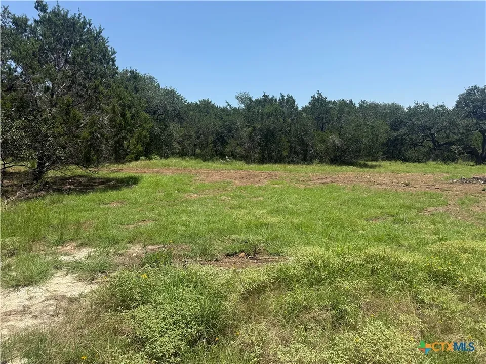 3 Bed 2 Bath Modern Contemporary Residence in New Braunfels, TX - 4