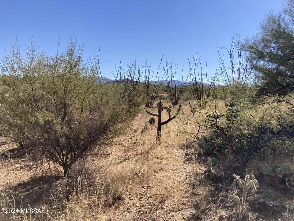 3 Bed 2 Bath Modern Contemporary Residence in Tucson, AZ