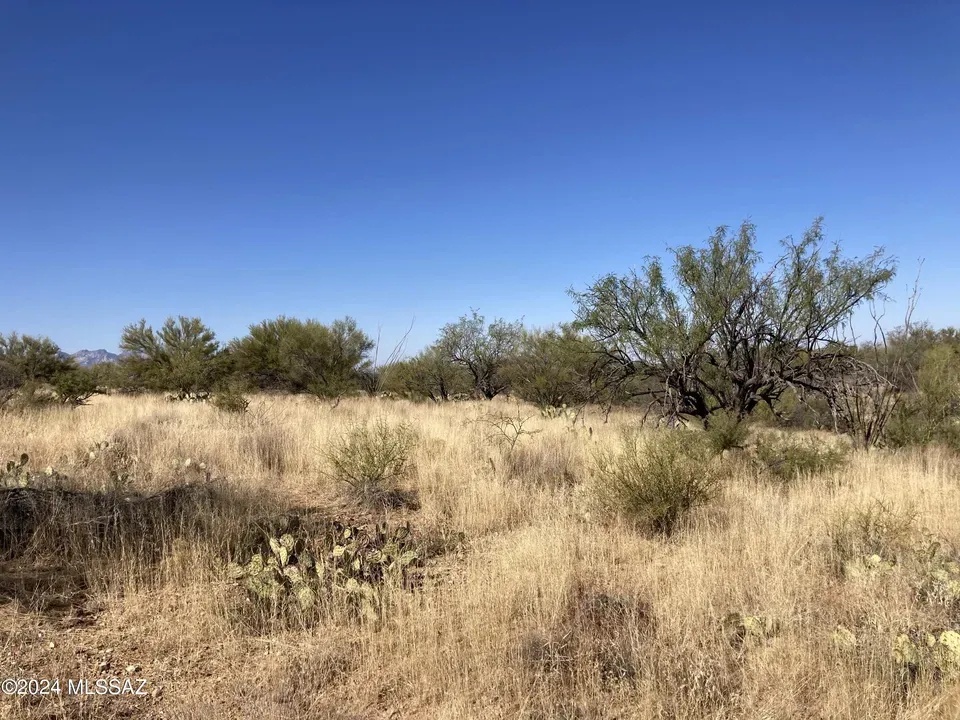 3 Bed 2 Bath Modern Contemporary Residence in Tucson, AZ - 3