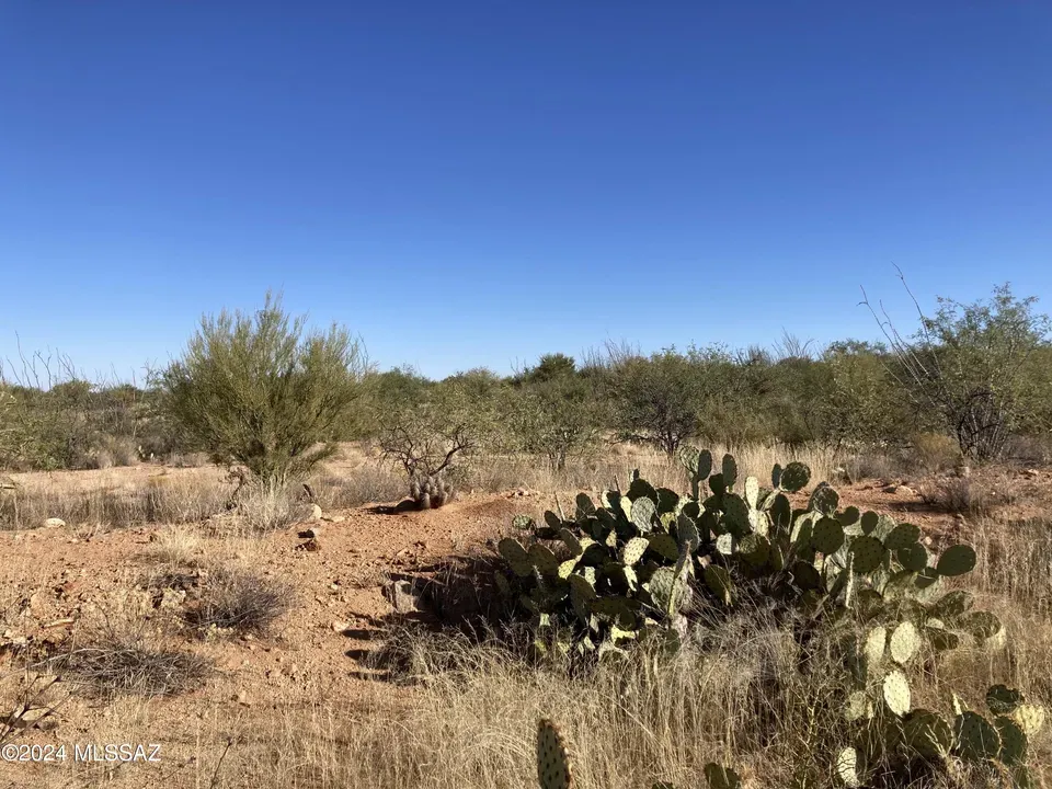 3 Bed 2 Bath Modern Contemporary Residence in Tucson, AZ - 4