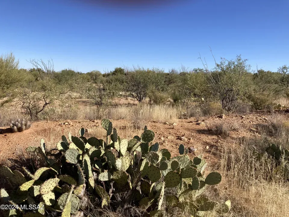3 Bed 2 Bath Modern Contemporary Residence in Tucson, AZ - 5