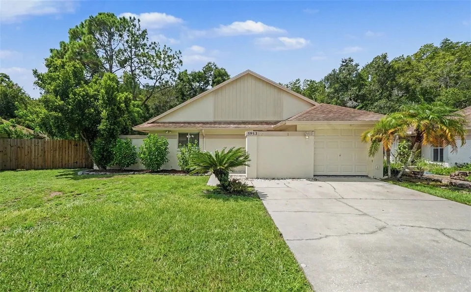 3 Bed 2 Bath Mid-Century Modern in Tampa, FL