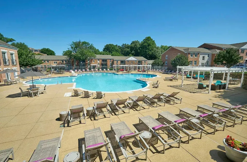 3 Bed 2 Bath Urban Residential Condo in Alexandria, VA - 2