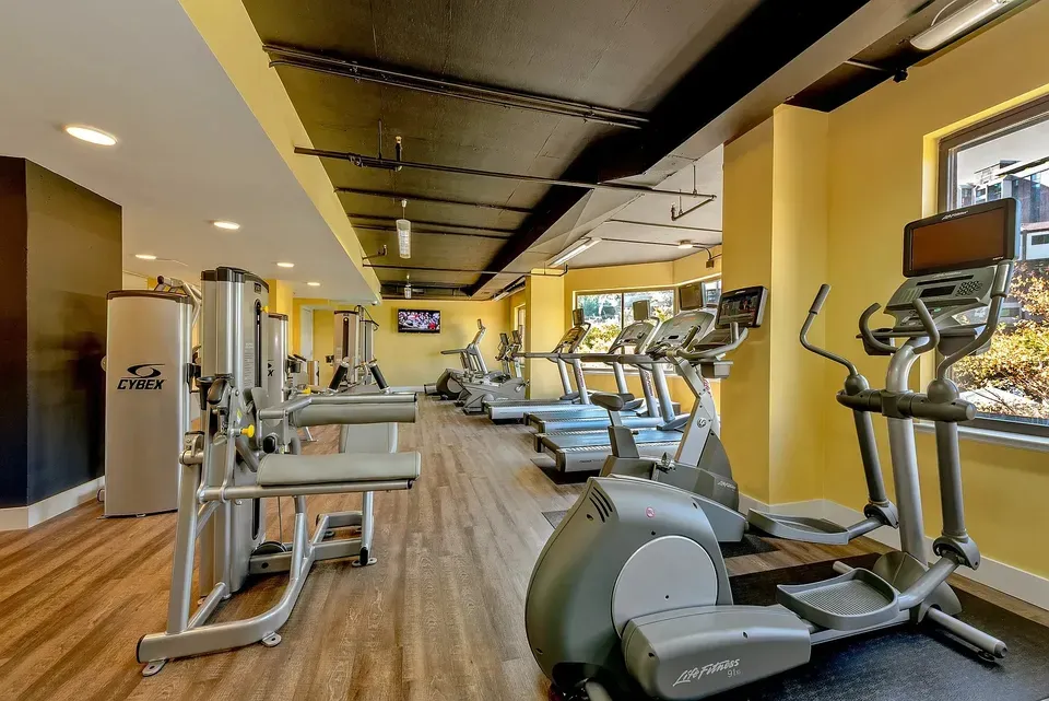 3 Bed 2 Bath Urban Residential Condo in Alexandria, VA - 5