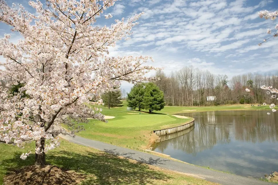 3 Bed 2 Bath Urban Residential Condo in Alexandria, VA - 5