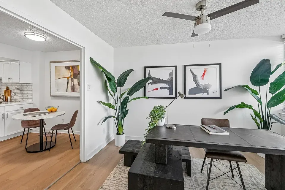 3 Bed 2 Bath Urban Residential Condo in Alexandria, VA - 4