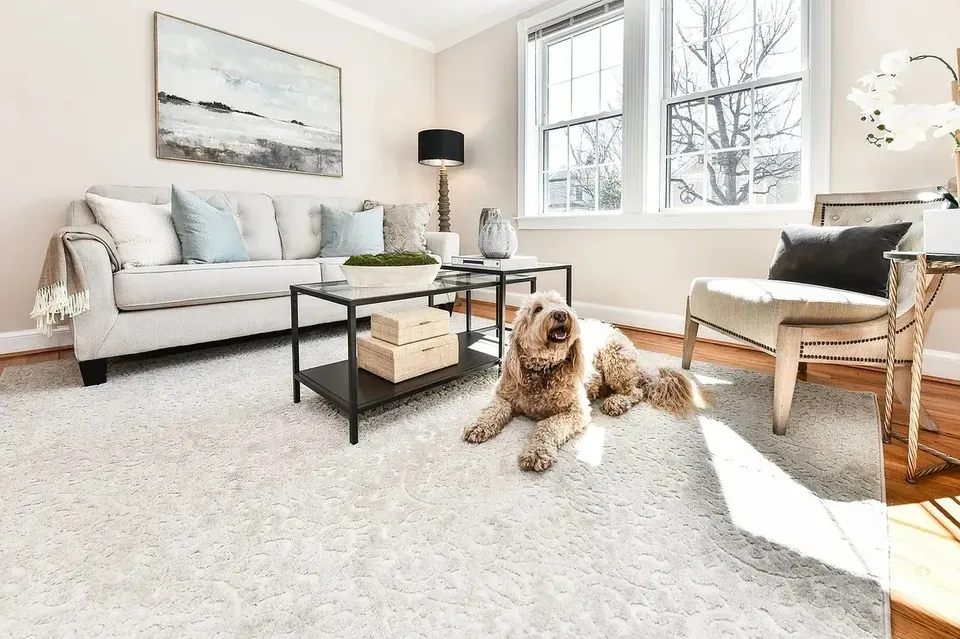 3 Bed 2 Bath Urban Residential Condo in Alexandria, VA