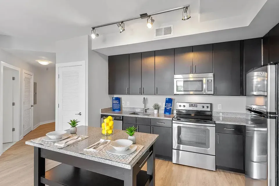 3 Bed 2 Bath Urban Residential Condo in Alexandria, VA - 2