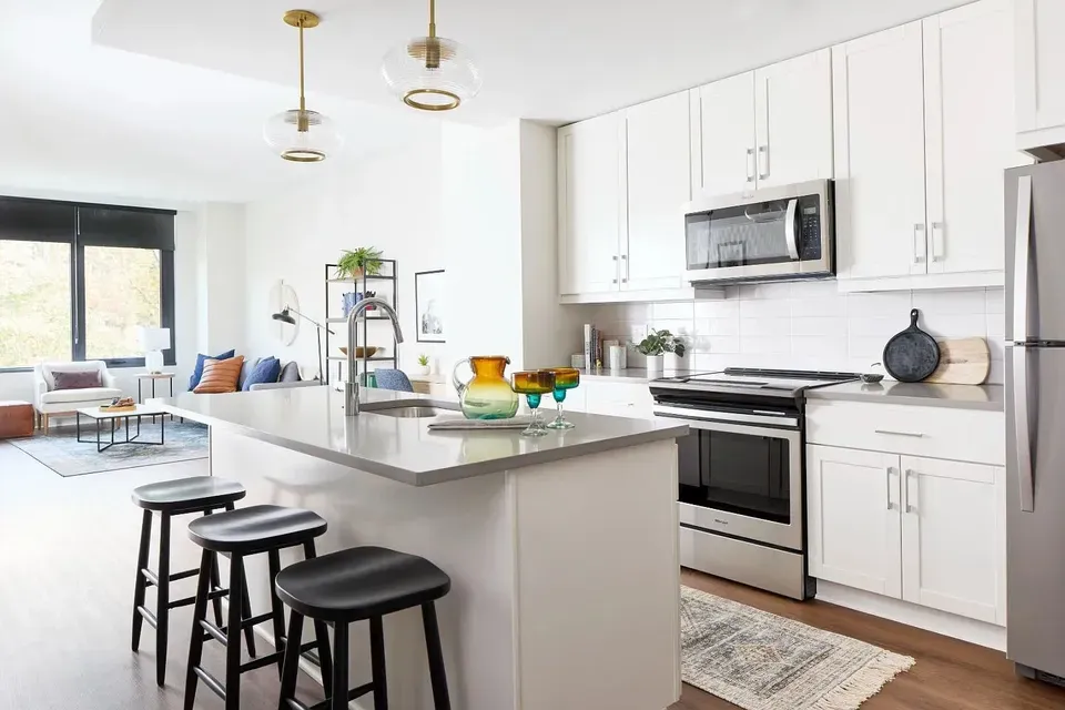 3 Bed 2 Bath Urban Residential Condo in Alexandria, VA - 2