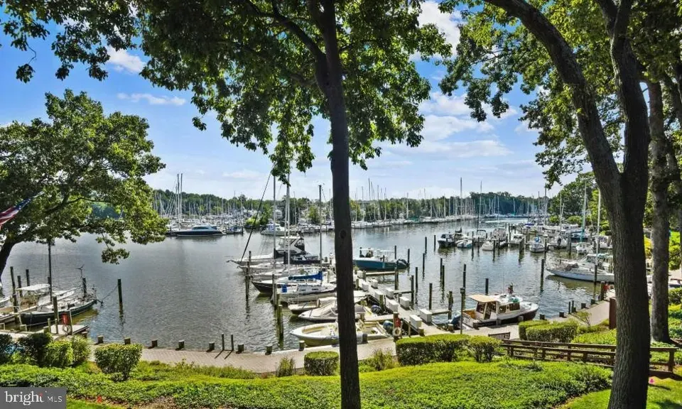 3 Bed 2 Bath Urban Residential Condo in Annapolis, MD