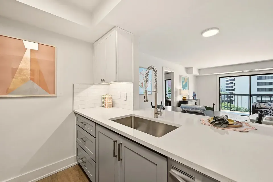3 Bed 2 Bath Urban Residential Condo in Arlington, VA - 3