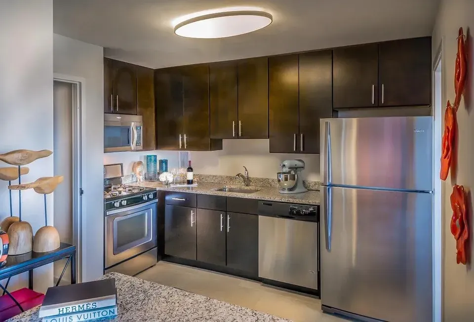 3 Bed 2 Bath Urban Residential Condo in Arlington, VA - 2