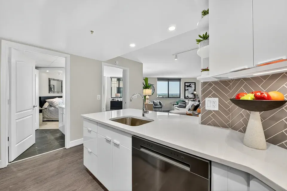 3 Bed 2 Bath Urban Residential Condo in Arlington, VA - 4