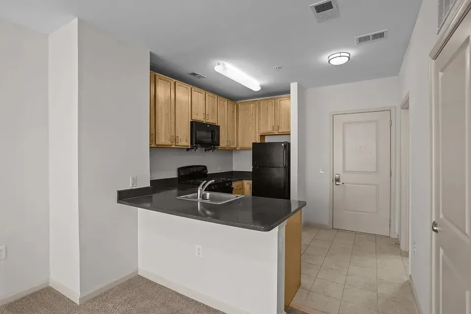 3 Bed 2 Bath Urban Residential Condo in Arlington, VA - 1